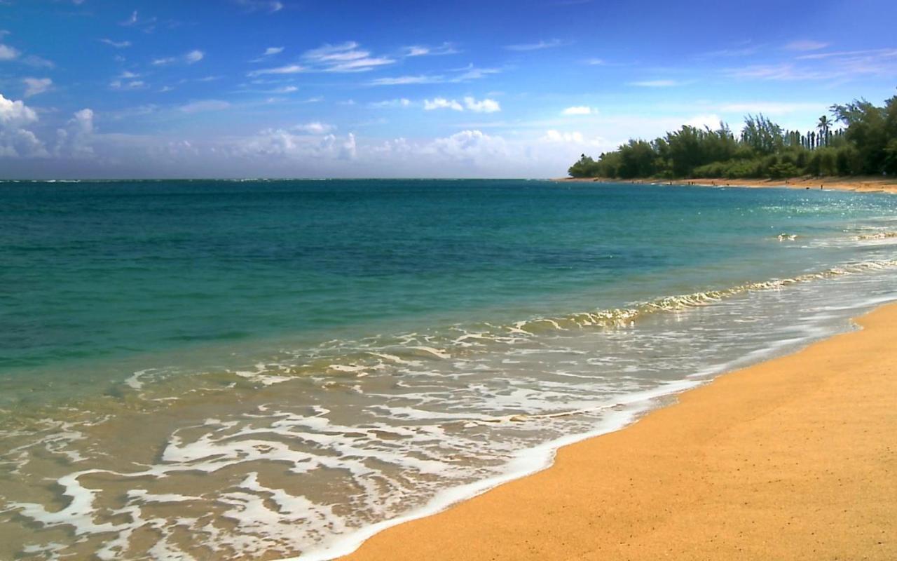 Wonderful Maui Vista-Kihei Kai Nani Beach Condos المظهر الخارجي الصورة